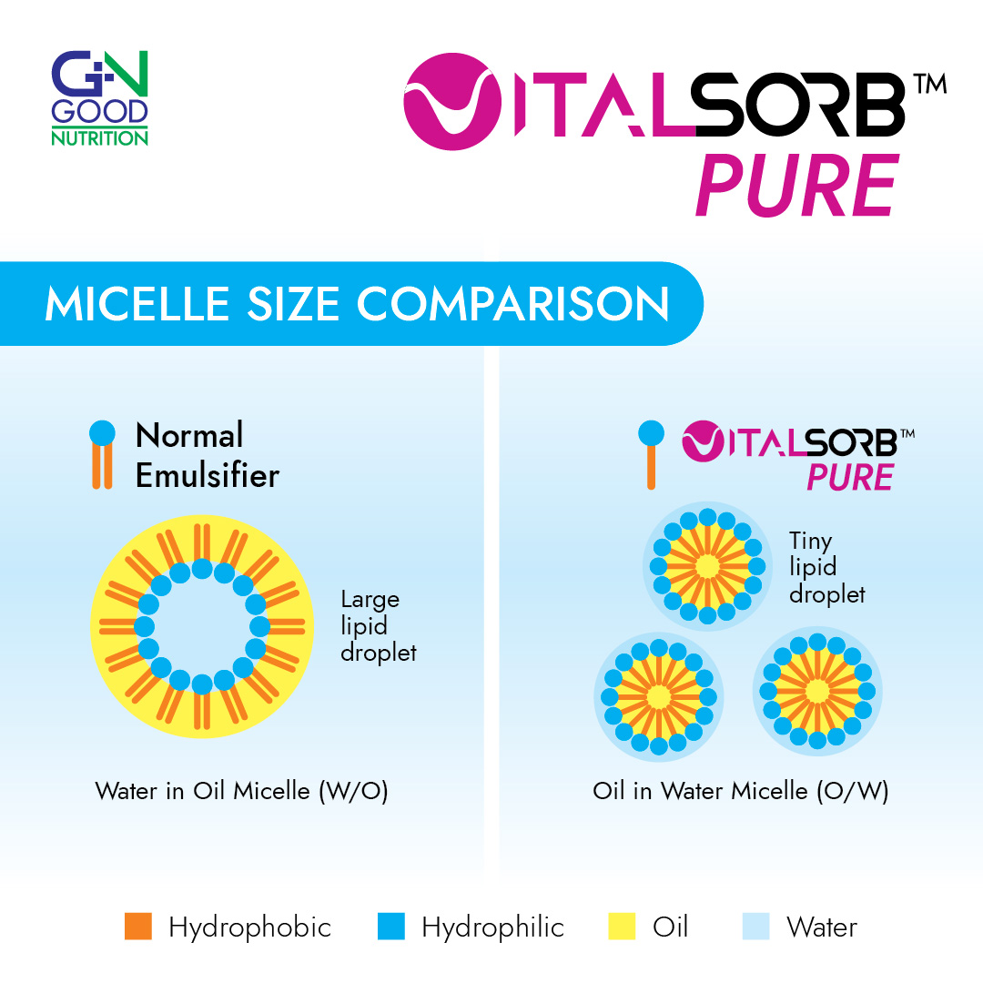 micelle size comparison