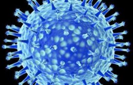 Avian Influenza (AI) Virus is airborne lipid enveloped coronavirus. Prevention possible via SCFA, MCFA, monolaurin