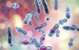 Gram positive bacteria clostridium infections, also staphylococcus, streptococcus, MCFA, lauric acid, butyrates, monolauri
