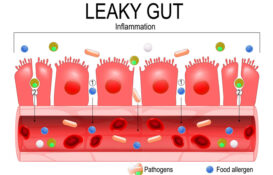 Leaky gut-inflammation diverts energy to immune & away from FCR & performance, butyrin, tributyrin, sodium/calcium butyrate